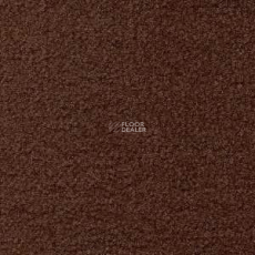 Radici Forum Cacao 2105 фото 1 | FLOORDEALER